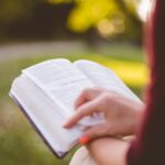 Hände halten ein aufgeschlagenes Buch draußen im Grünen